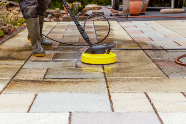 Best Roof Washing  in Lindenwold, NJ