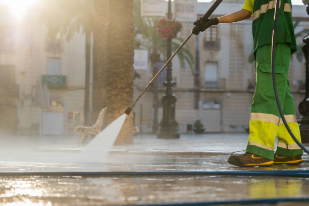 Best Sidewalk and Walkway Cleaning  in Lindenwold, NJ